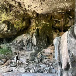 Bat Cave - Cayman Brac