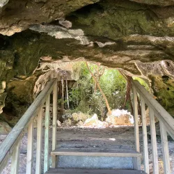 Bat Cave - Cayman Brac