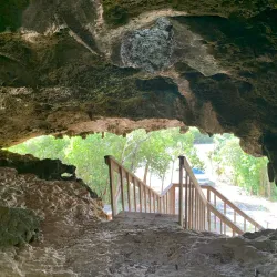 Bat Cave - Cayman Brac