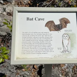 Bat Cave - Cayman Brac