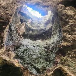 Bat Cave - Cayman Brac