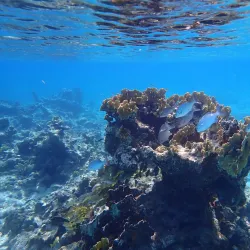 Cemetery Beach - Cayman Brac
