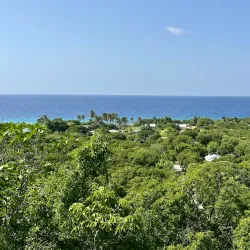 Peter’s Cave - Cayman Brac