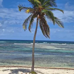 The Lost Reef - Cayman Brac