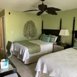 The Lost Reef - Cayman Brac