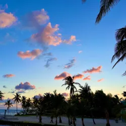 The Lost Reef - Cayman Brac