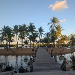 Camana Bay - Seven Mile Beach