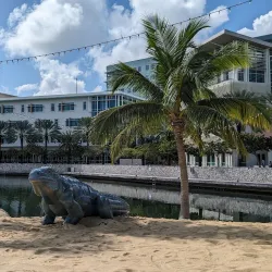 Camana Bay - Seven Mile Beach