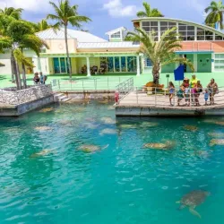 Cayman Turtle Centre: Island Wildlife Encounter - Seven Mile Beach