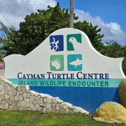 Cayman Turtle Centre: Island Wildlife Encounter - Seven Mile Beach
