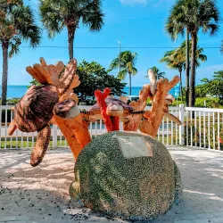 Cayman Turtle Centre: Island Wildlife Encounter - Seven Mile Beach