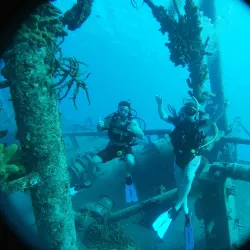 Coral Reef Divers - Seven Mile Beach