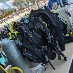 Coral Reef Divers - Seven Mile Beach