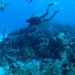 Coral Reef Divers - Seven Mile Beach