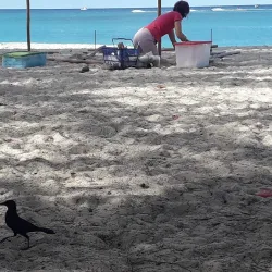 Governor's Beach - Seven Mile Beach