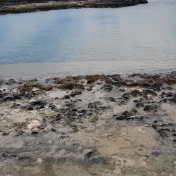 Seven Mile Public Beach Park - Seven Mile Beach