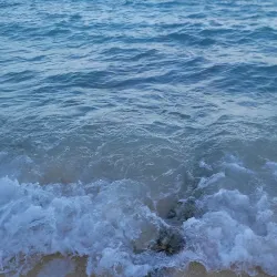 Seven Mile Public Beach Park - Seven Mile Beach