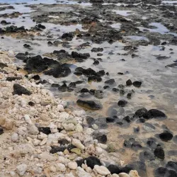 Seven Mile Public Beach Park - Seven Mile Beach