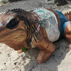 Smith Cove - Seven Mile Beach