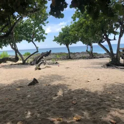 Smith Cove - Seven Mile Beach