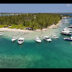 Starfish Point - Seven Mile Beach