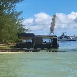 Starfish Point - Seven Mile Beach