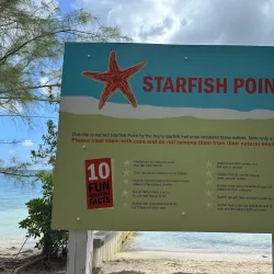 Starfish Point - Seven Mile Beach