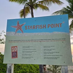 Starfish Point - Seven Mile Beach