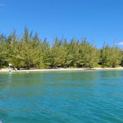 Starfish Point - Seven Mile Beach
