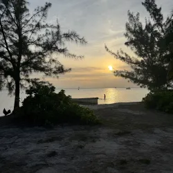 Starfish Point - Seven Mile Beach