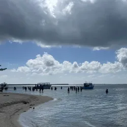 Starfish Point - Seven Mile Beach