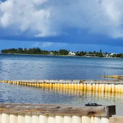 Starfish Point - Seven Mile Beach