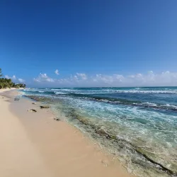 South Sound Community Park - South Sound