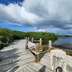 Governor Michael Gore Bird Sanctuary - West Bay