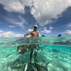 Stingray City - West Bay