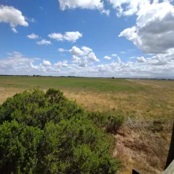 Local Wildlife Viewing Areas - Bambari