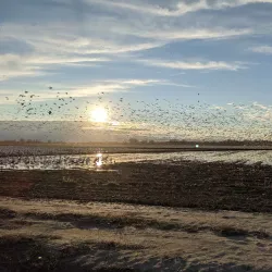 Local Wildlife Viewing Areas - Bambari