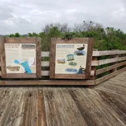 Local Wildlife Viewing Areas - Bambari