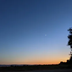 Local Wildlife Viewing Areas - Bambari