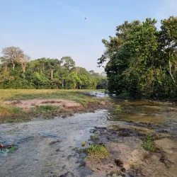 Dzanga-Sangha National Park (accessible from Bangui) - Bangui