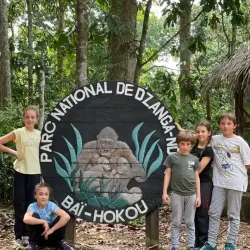 Dzanga-Sangha National Park (accessible from Bangui) - Bangui