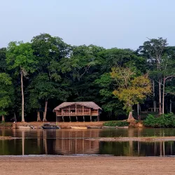 Dzanga-Sangha National Park (accessible from Bangui) - Bangui