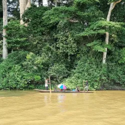 Dzanga-Sangha National Park (accessible from Bangui) - Bangui