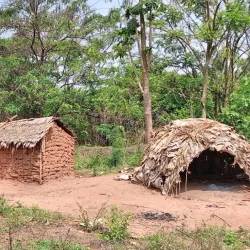 Bayanga Village - Nola