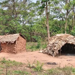 Bayanga Village - Nola