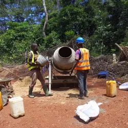 Dzanga-Sangha National Park - Nola
