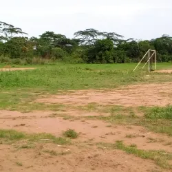 Dzanga-Sangha National Park - Nola