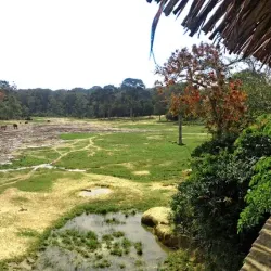 Dzanga-Sangha National Park - Nola