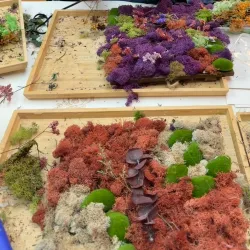 Local Handicraft Workshops - Abeche