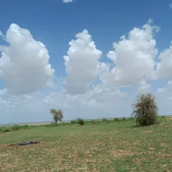 Ouaddaï Cultural Festival - Abeche